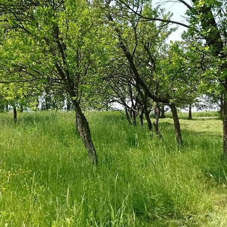 Oaza Milosci Lipinki  Dış mekan fotoğraf